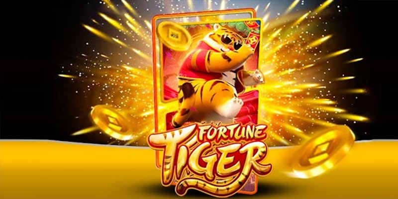 Quem é o Fortune Tiger 444betbet.Com